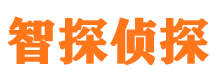 大城市私人侦探